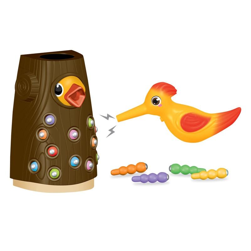 FeedingBird™ - Jouets magnétique attrape - ver | Jeux enfants - Eauviveshop.com